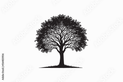 Hornbeam tree vector silhouettes image made by adobe illustrator. eps