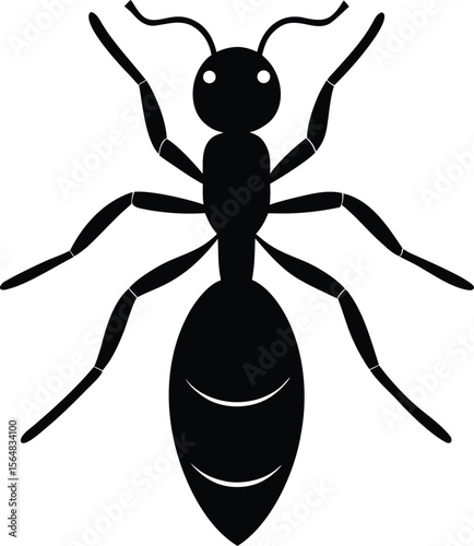  Ant Icon