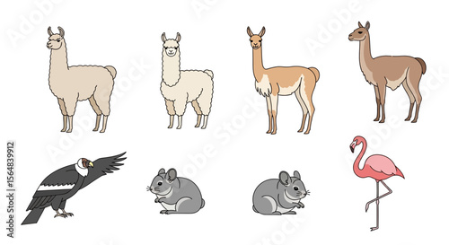 Vector illustration of south american animals llama guanaco chinchilla andean condor flamingo wildlife art drawing