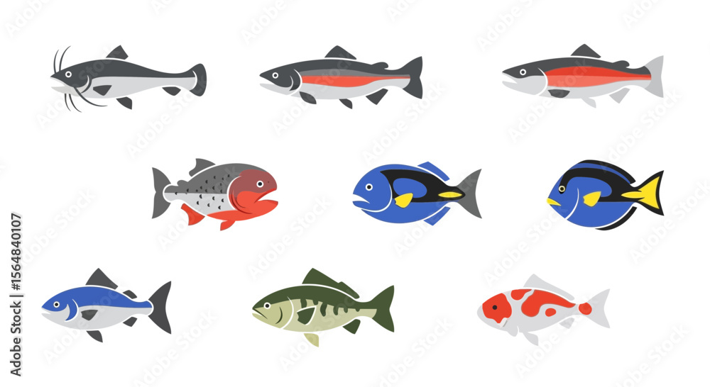 Fototapeta premium Vector collection of different types of fish vector illustration, catfish, trout, koi, and more fish species