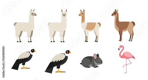 Vector cute ocean animals illustration featuring dolphin beluga narwhal otter sea cucumber clam and coral drawing design