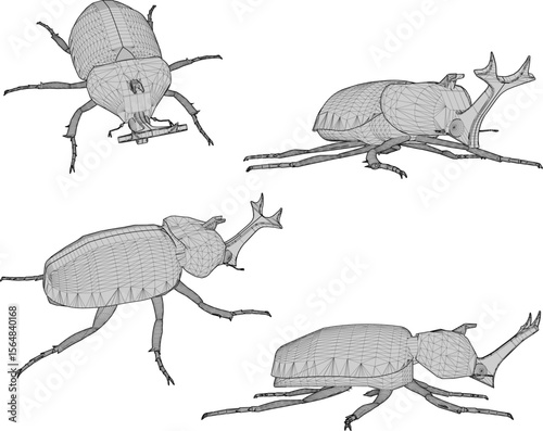 horned beetle insect animal design vector sketch illustration