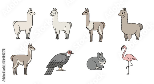 Vector cartoon illustration of llama guanaco condor rabbit and flamingo animal wildlife drawing nature art design
