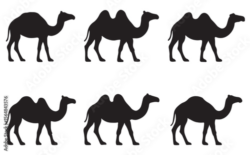 Silhouette Camel Vector Set – One and Two Hump Desert Animal Icons