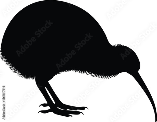 Elegant Kiwi Bird Silhouette Vector EPS A Detailed Birds Silhouette Illustration for Design Projects