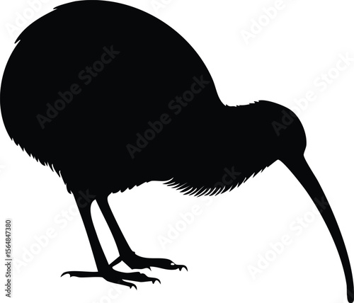 Elegant Kiwi Bird Silhouette Vector EPS Download, Birds Silhouette, Vector Graphics