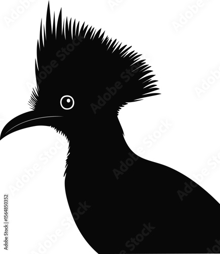 Elegant Birds Silhouette Vector EPS Profile of a Turaco Bird with a Mohawk-like Crest - Downloadable Vector Illustration