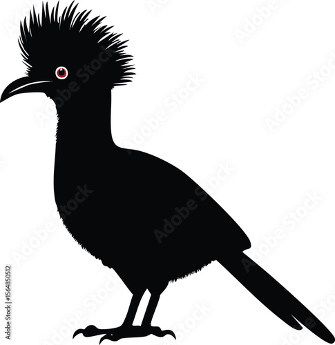 Vector EPS Silhouette Birds of Paradise - Elegant Turaco Bird Silhouette with Mohawk Crest