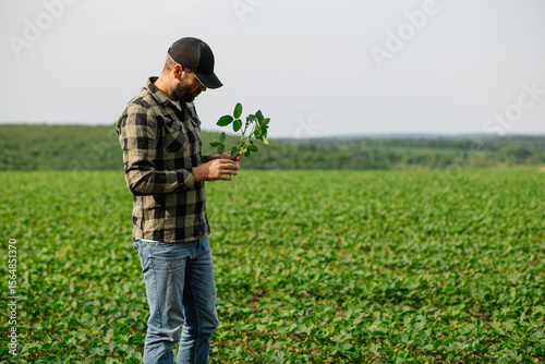 Agronomist standing in a soybean field holding and inspecting a soybean plant for health and development. Crop monitoring and sustainable agriculture concept.