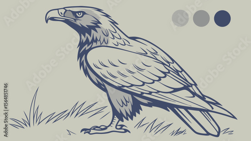 Vector Majestic eagle illustration in muted grey and blue tones, showcasing strength and grace