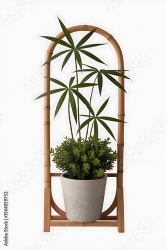 Bamboo arch stand holds a potted plant.
