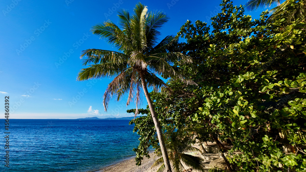 Obraz premium Coast of a tropical island. View of calm blue sea, sandy beach, palm trees on the shore and green bushes and trees.
