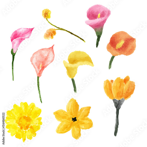 a bunch of flowers that are painted in watercolor