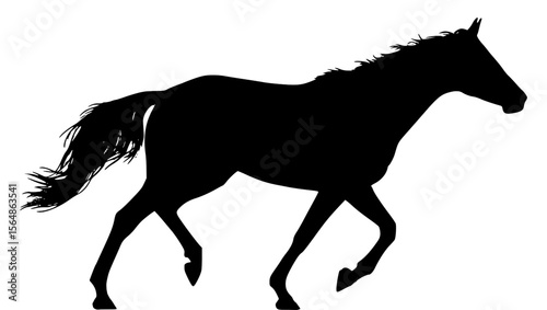 Vector Silhouette Of A Running Horse.