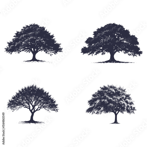 Tree silhouettes. various trees silhouettes on the white background.