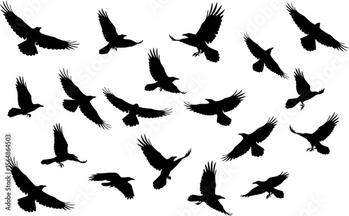 Collection of Black Crow Silhouettes Vector EPS Illustration of Flying Birds
