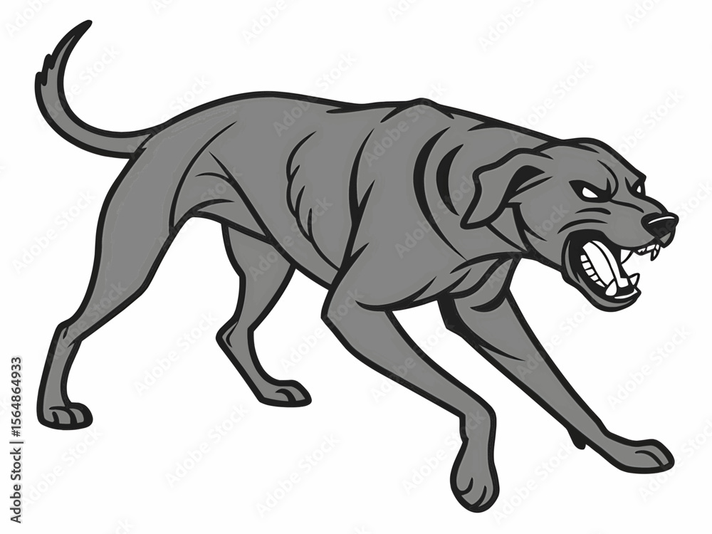 Obraz premium A fierce gray dog snarling with bared teeth and a raised tail in a dynamic pose on a white background