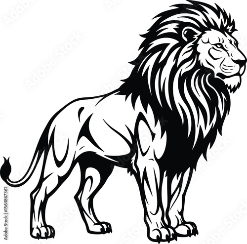 lion vector illustration