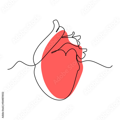 Heart on a white background. Human organ in LineArt style.
