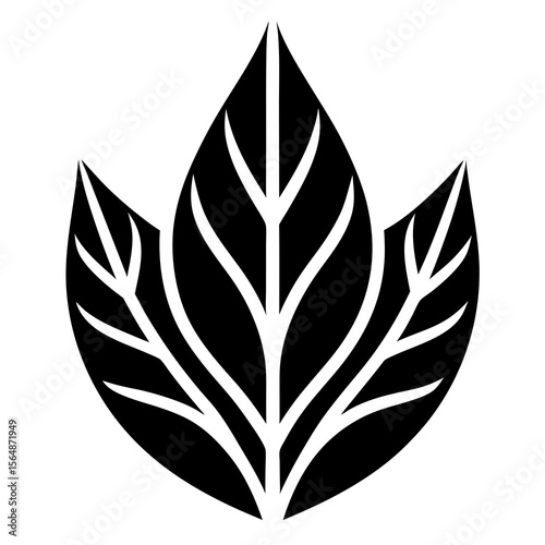 black and white leaves