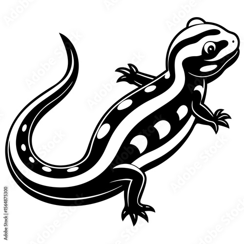 lizard on white background