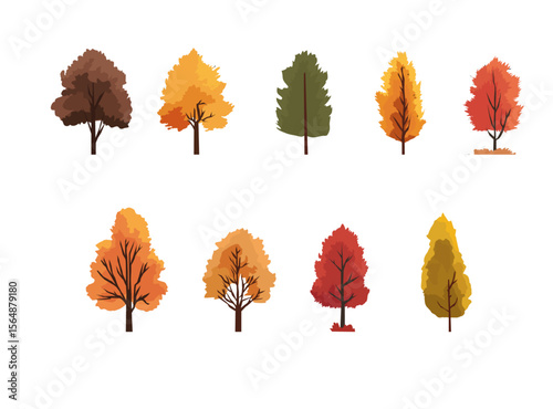 Set of colorful autumn trees illustration, fall foliage in red, orange, yellow and brown tones, seasonal nature clipart collection
