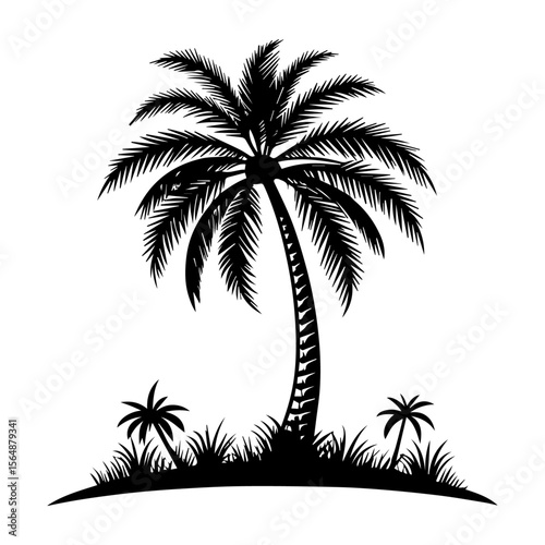 vector illustration of palm trees