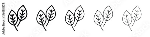 Basil icon web Vector collection in black strokes