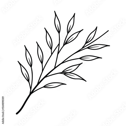 minimal willow plant branch drawing vector art