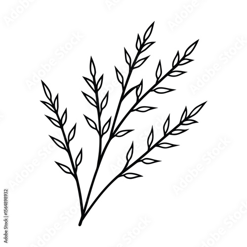 minimal willow plant branch drawing vector art