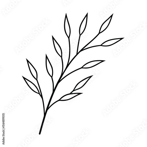 minimal willow plant branch drawing vector