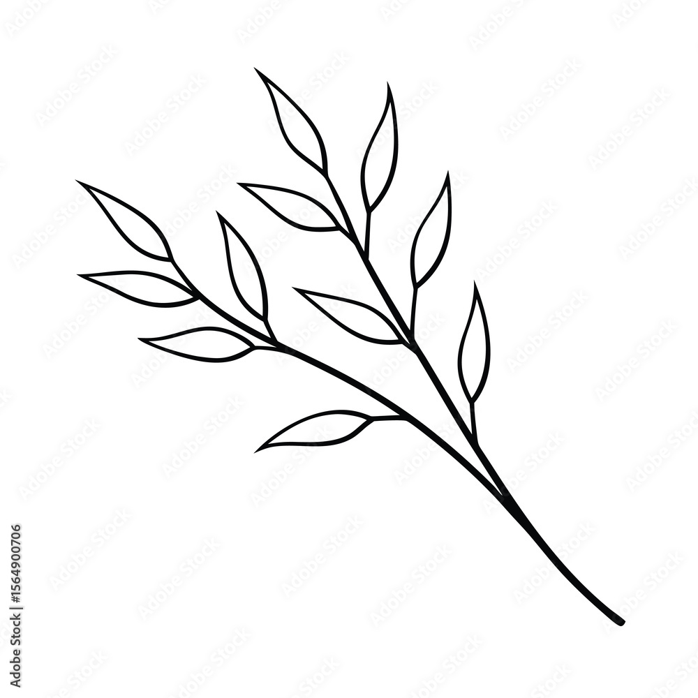 Fototapeta premium minimal willow plant branch drawing vector