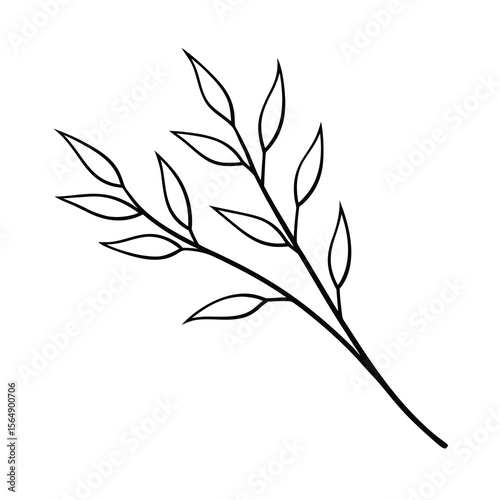 minimal willow plant branch drawing vector