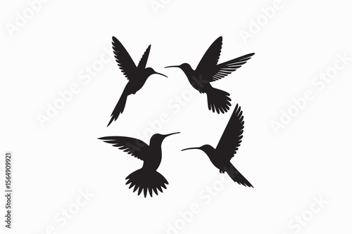 Hummingbird vector silhouettes black color image made by adobe illustrator .eps