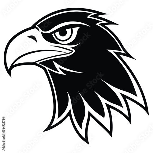 Fierce eagle head black and white bird profile