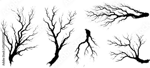 Organic ink expressions: diverse branch and vein patterns for creative design