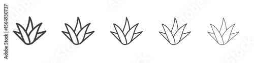 Aloe vera icon Line graphics illustration symbol