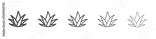 Aloe vera icon Line graphics illustration symbol