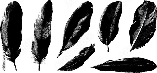 Elegant feather silhouettes collection with intricate ink textures for artistic design