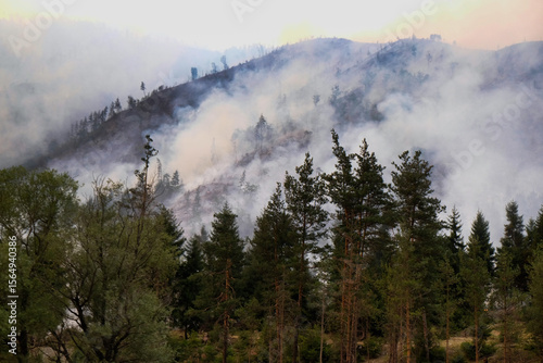 Forest Fire Smoke Blankets Mountain Landscape photo