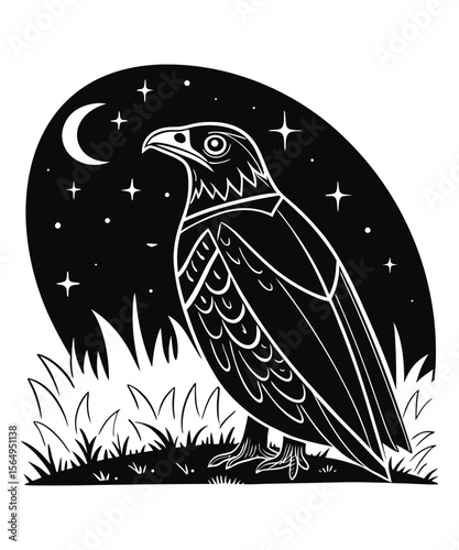starry cloak silhoutees