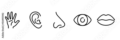 Five human senses editable stroke outline icons set isolated on white background flat vector illustration.