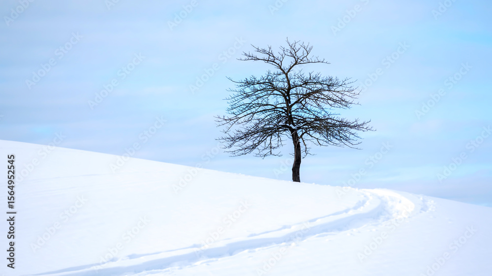 Fototapeta premium Minimalist winter landscape photograph featuring a solitary, leafless tree on a snow-blanketed hill under a pale, overcast sky