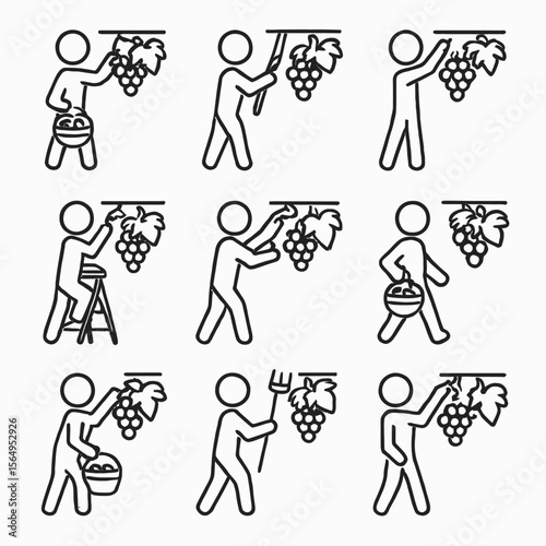 Grape Harvesting & Picking Process Icons