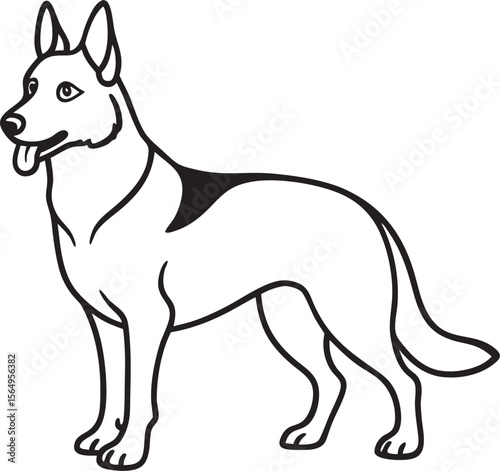 German Shepherd dog standing alert canine animal