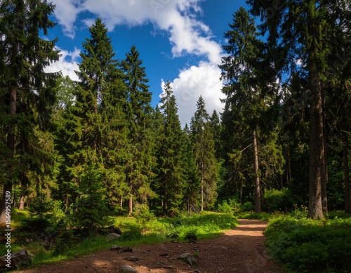 Wallpaper Mural Generated image Torontodigital.ca