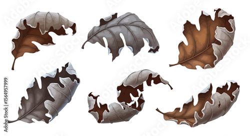 Dried leaves illustration autumn nature graphic