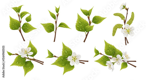 Spring plant branches with flowers and leaves illustration