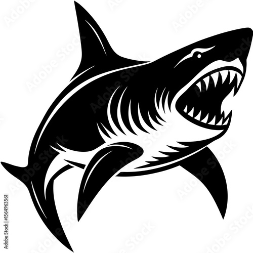 shark vector illustration