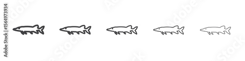 pike icon Line graphics illustration symbol